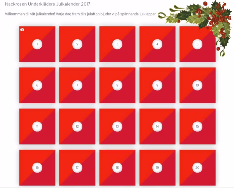 Erbjudanden & julklappstips i vår julkalender!