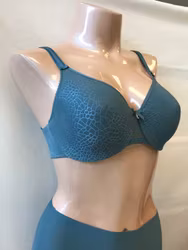 Chantelle BH C Magnifique 1891 / 0PN abysse