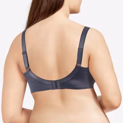 Chantelle BH Hedona 2031 cashmere grey