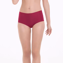 Anita Essentials High waist brief 1343 Cherry red 114