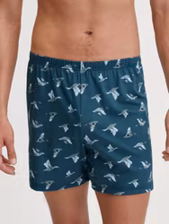 Calida herr boxer 24389 / 749 deep night blue