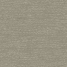 Design 12007