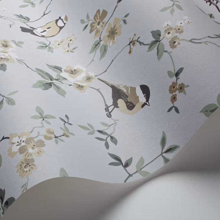 Falsterbo Birds 4681