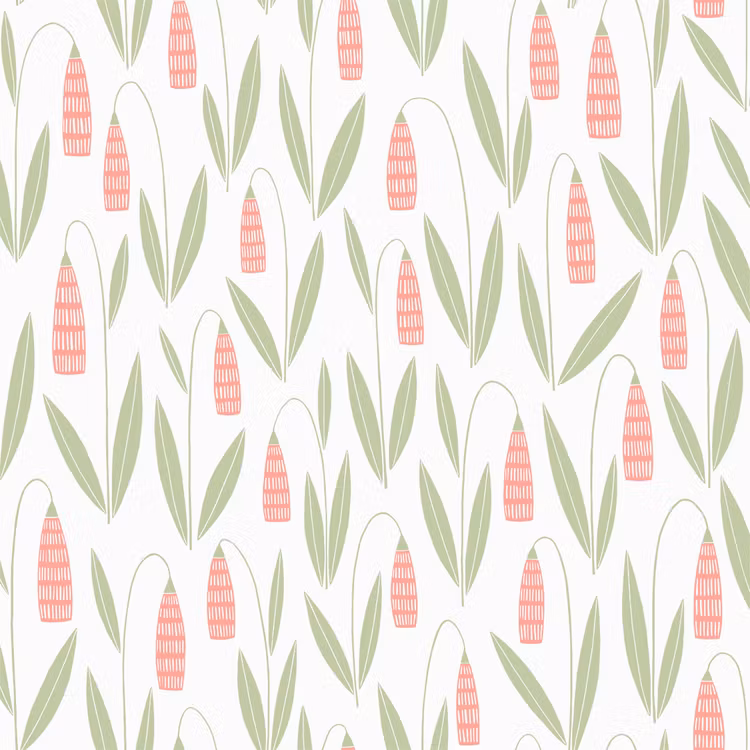 Snowdrops Vit / Rosa
