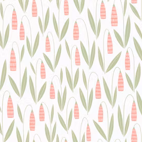 Snowdrops Vit / Rosa