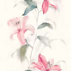 Jasmine, 31601