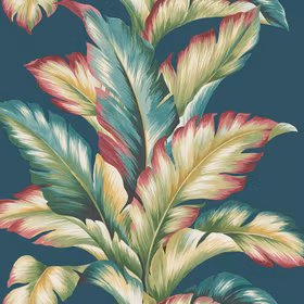 Maui Maui, TP 81214