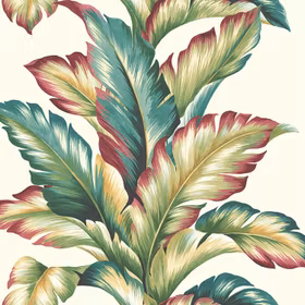 Maui Maui, TP 81224
