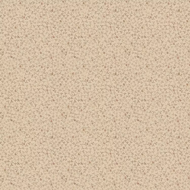 Clover, 28012