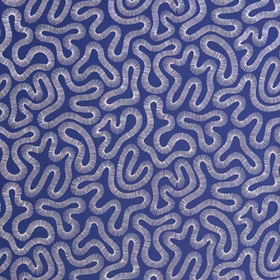 Coral Lapis