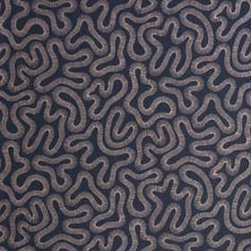 Coral Fossil