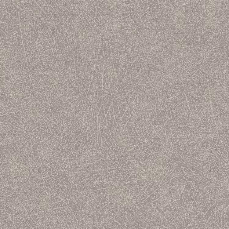 Skin, 300512