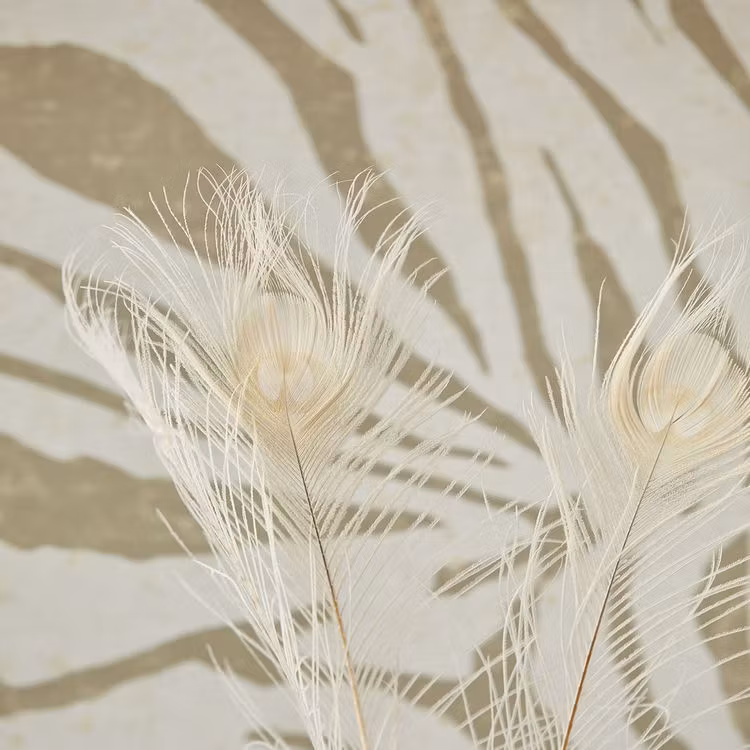 Zebra Natural