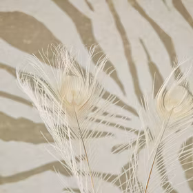 Zebra Natural