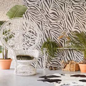 Zebra Black & White