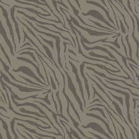Zebra Olive