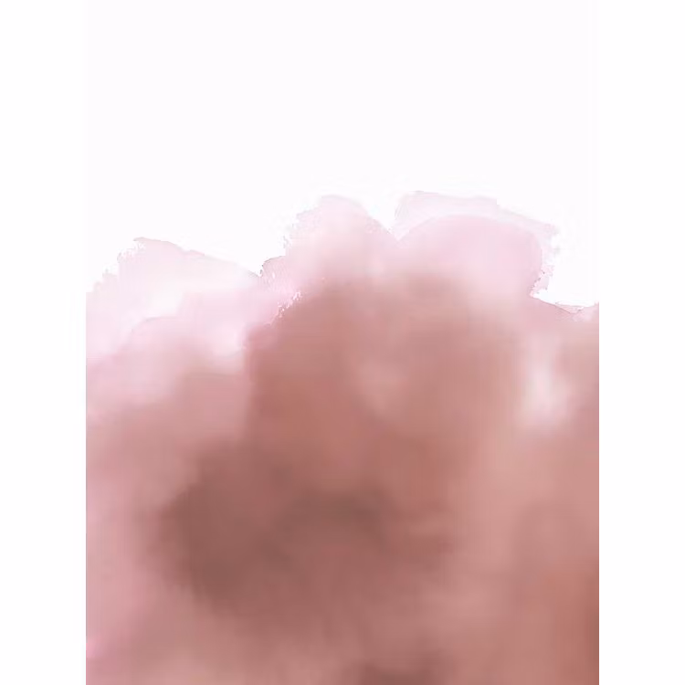 Aquarelle Rose