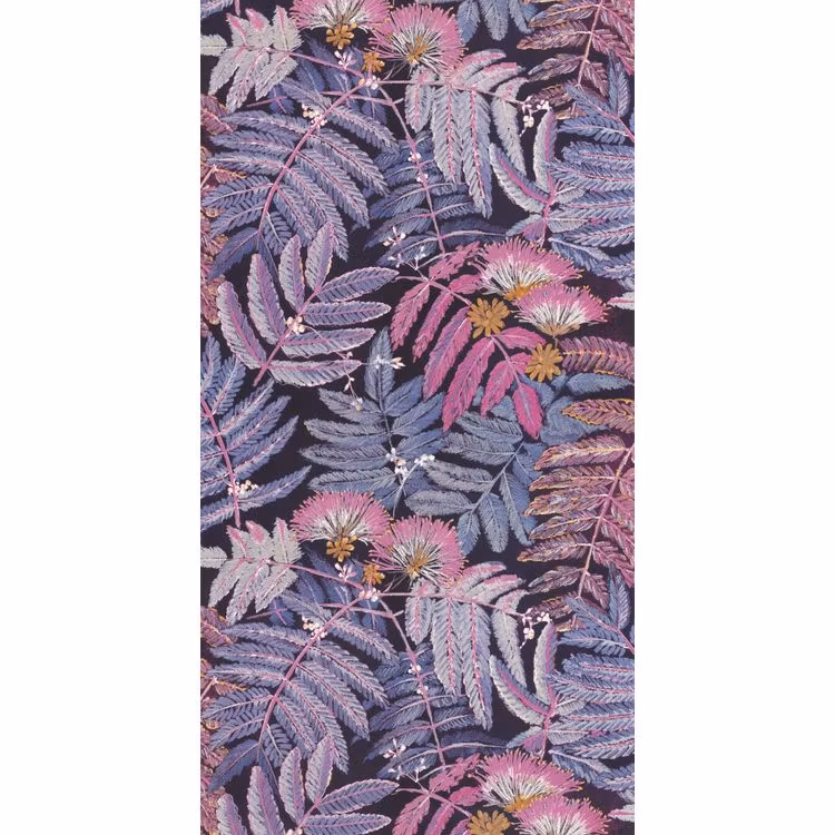 Albizia Violine