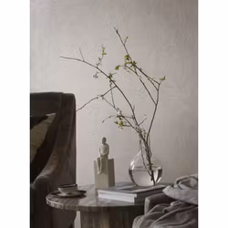 Hidden Parrot 2276