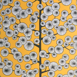 Cotton Tree Sunray