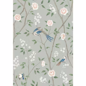 Paradise Birds 1903