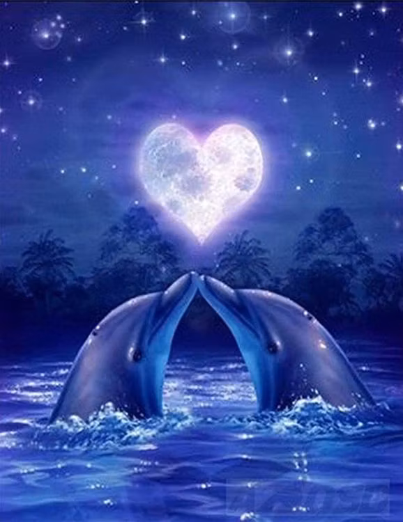 Diamanttavla Dolphin Love 40x50