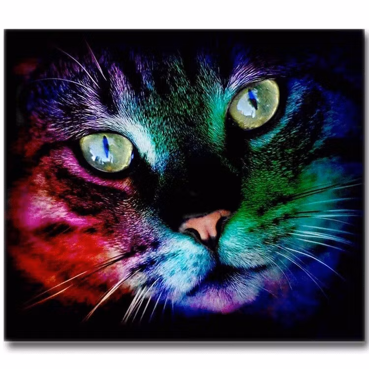 Diamanttavla Color Cat 30x40