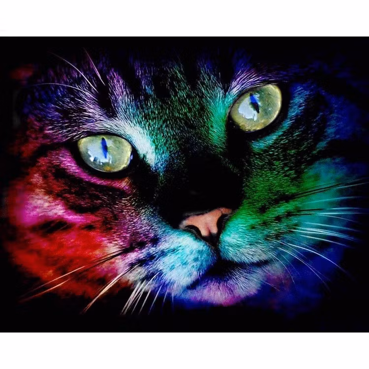 Diamanttavla Color Cat 30x40
