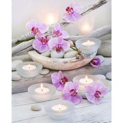 Diamanttavla Orchid And Stones 40x50