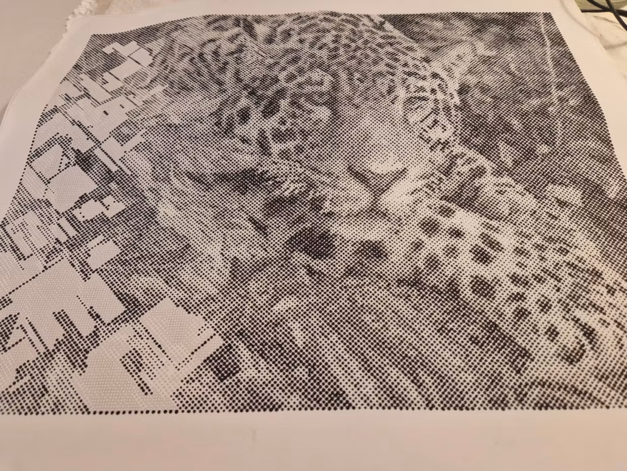 One Color Dot Painting Asia 40x50