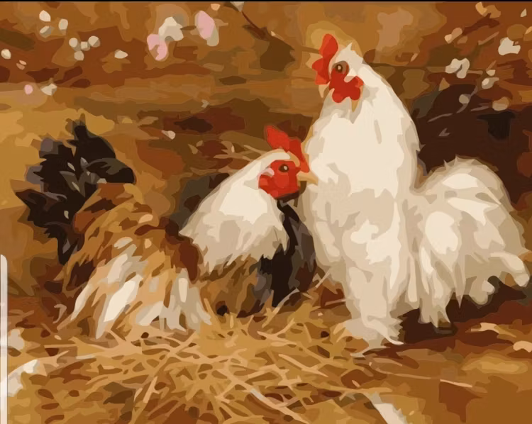 Paint By Numbers Höna Och Tupp 40x50