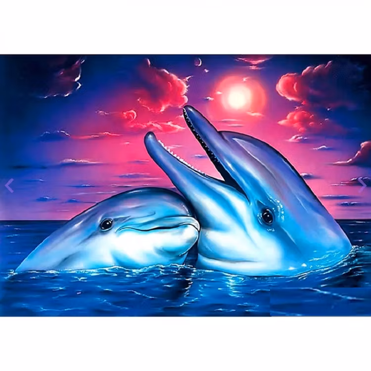 Diamanttavla Happy Dolphin 20x30