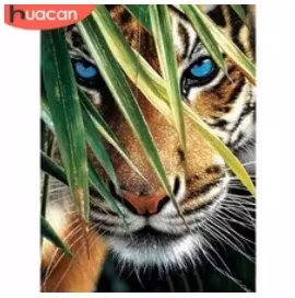 Diamanttavla Tiger Med Blåa Ögon 40x50