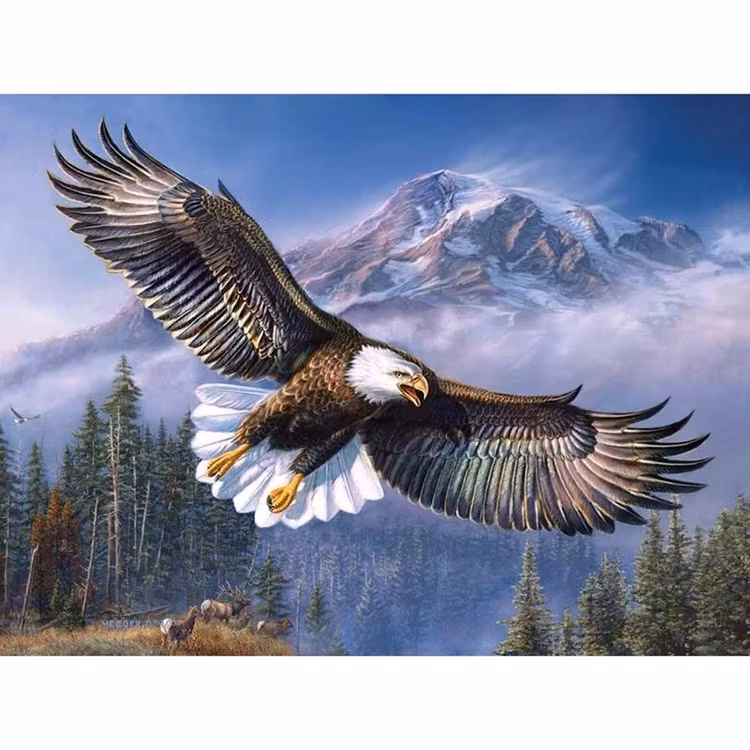 Diamanttavla Eagle 40x50