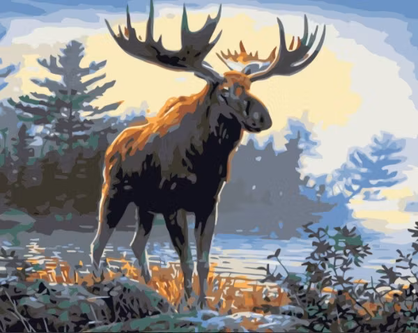 Paint By Numbers Skogens Konung 40x50