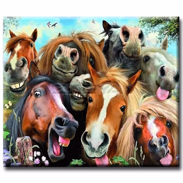 Diamanttavla Funny Horses 40x50