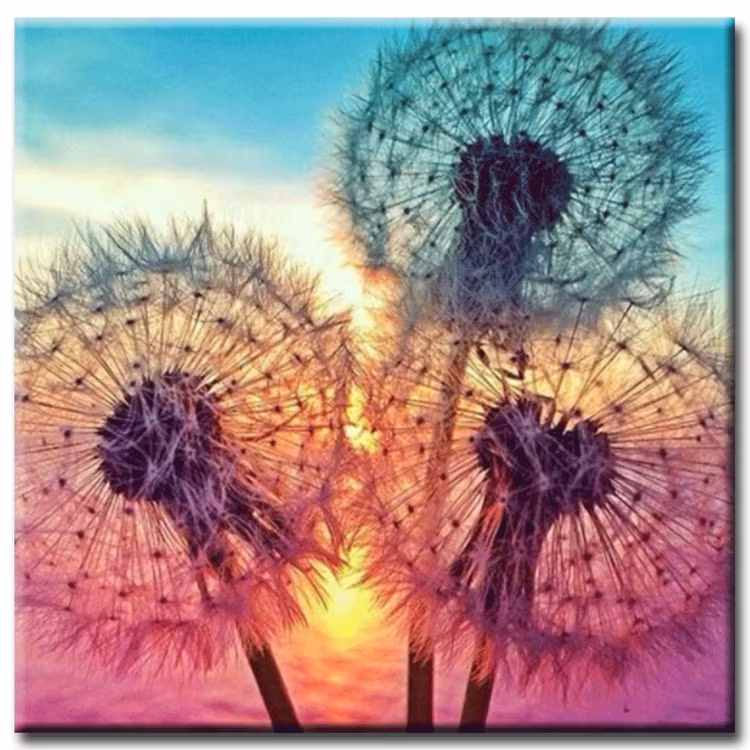 Diamanttavla Colorful Dandelion 50x50