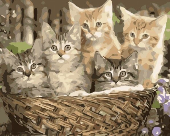 Paint By Numbers Kattungar I Korg 40x50