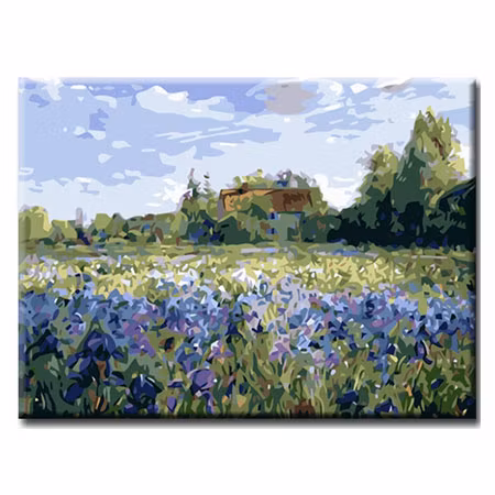 Paint By Numbers Sommaräng 50x70