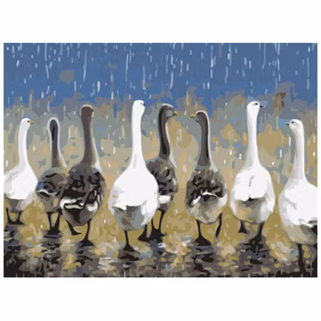 Paint By Numbers Gäss 40x50