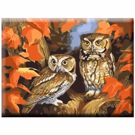 Paint By Numbers Autum Owls 40x50