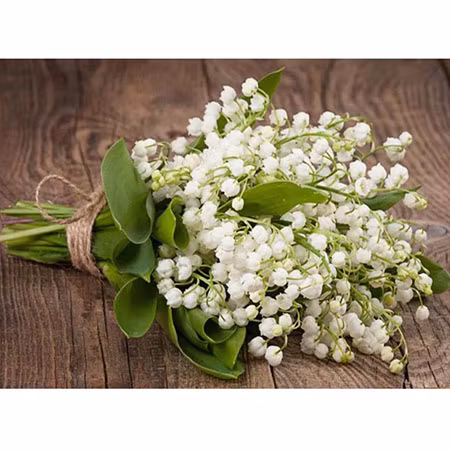 Diamanttavla Liljekonvaljbukett 40x50 - Leveranstid 1-3 Dagar