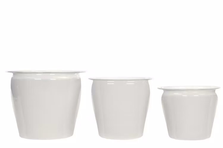 Kruka Dino Set Med 3 Storlekar  - Leveranstid 1-3 Dagar