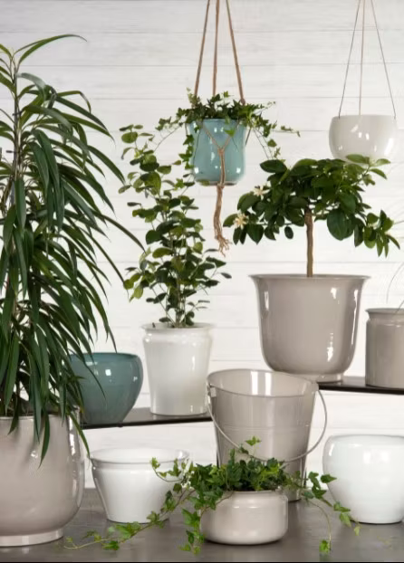 Kruka Dino Set Med 3 Storlekar  - Leveranstid 1-3 Dagar