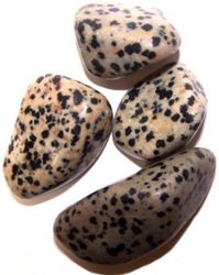 Trumlad Sten Dalmatian Jasper 2-3 cm