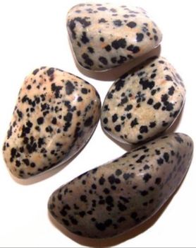 Trumlad Sten Dalmatian Jasper 2-3 cm