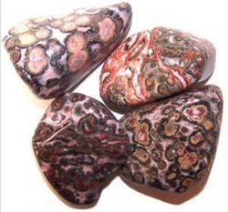 Tumlad Sten Leopard Jaspis 2-3 cm