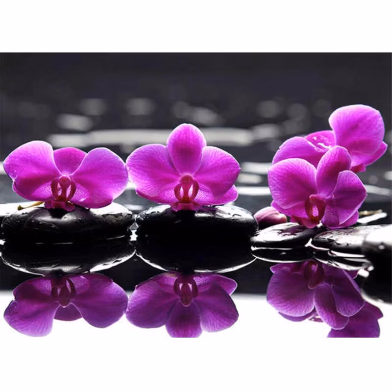 Diamanttavla Orchids Reflection 30x40