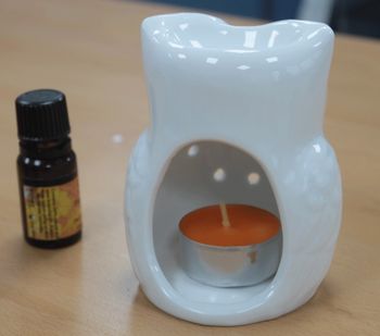 Aromalykta Klassisk Vit Owl
