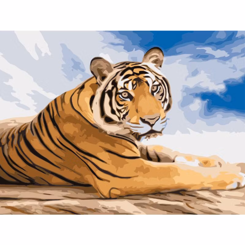 Paint By Numbers Tiger 40x50